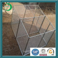 Customized Type Dog Cages for Cars (xy-P6)